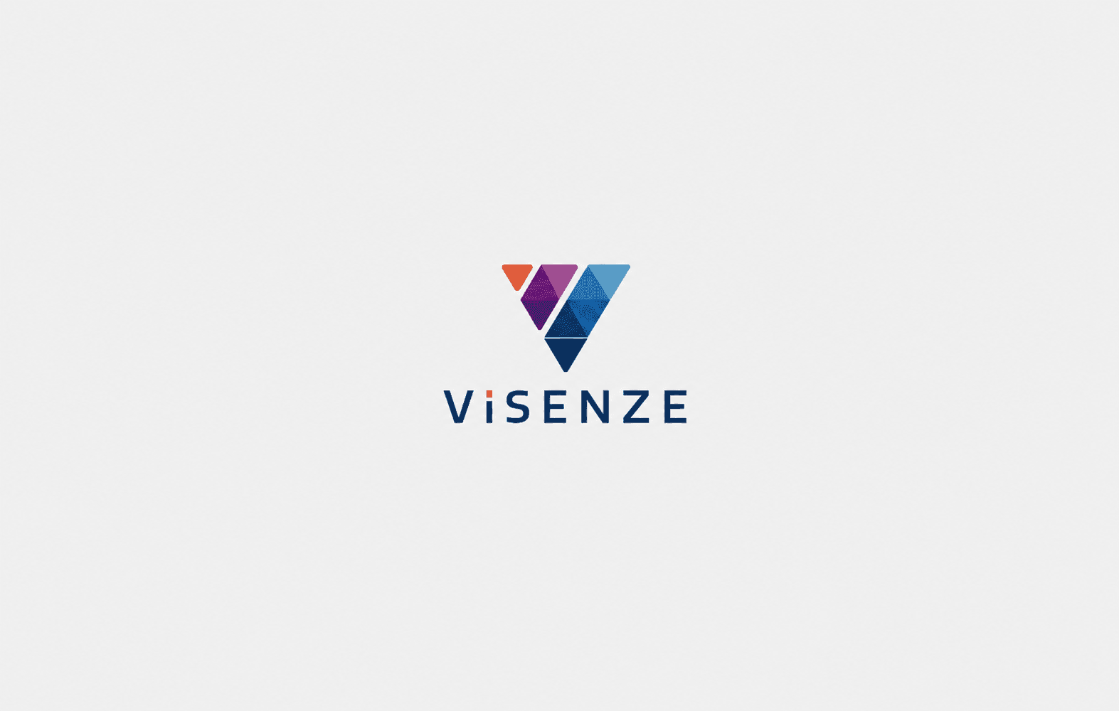 ViSenze